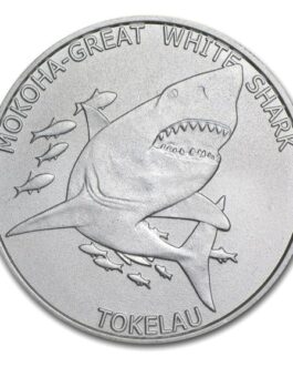 Mokoha Great White Shark
