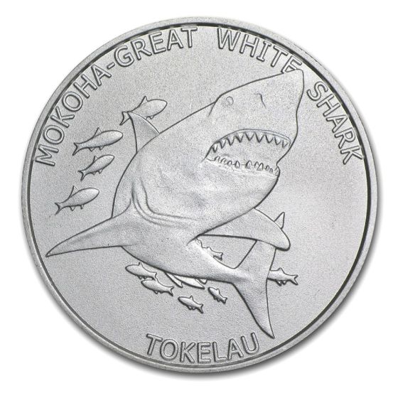 Mokoha Great White Shark