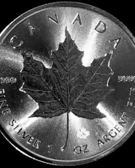 Canadian Silver Maple Leaf 1 Oz Coin