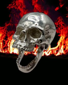 3D Skull with Articulating Jaw Poured 3Oz