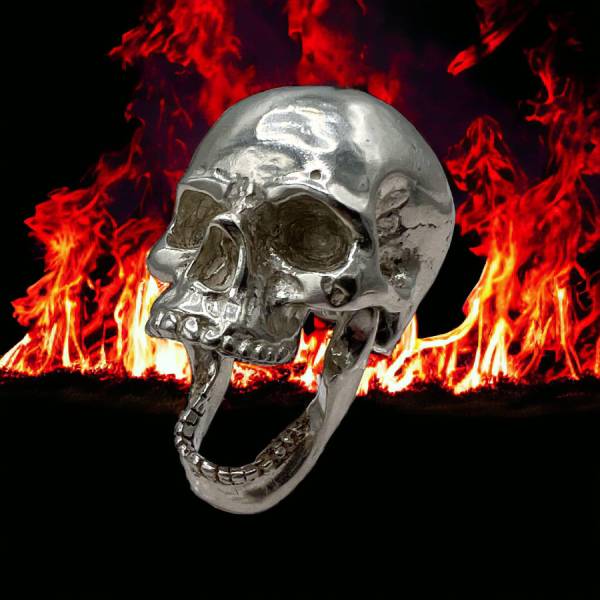 3D Skull with Articulating Jaw Poured 3Oz